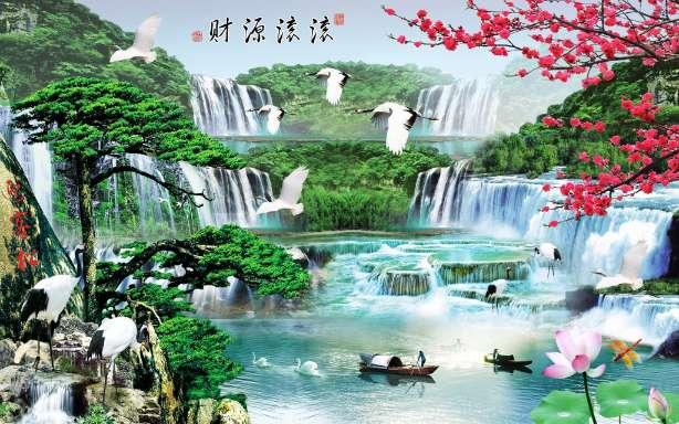 救援摄影师男孩